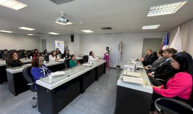 Deputado João Luiz debate na Aleam sobre os impactos da Base Virtual de Flagrantes ao atendimento de vulneráveis