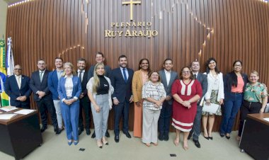 Comissão de Defesa das Crianças e Adolescentes da Aleam, presidida pelo deputado João Luiz promove harmonia com os poderes Executivo e Judiciário