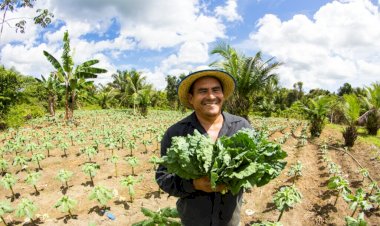 Governo do Amazonas apoia agricultores que tiveram perdas durante a última estiagem