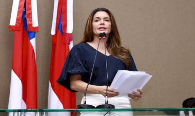 Deputados apresentam Projetos de Lei relacionados à segurança pública, saúde do homem e manejo de babaçu