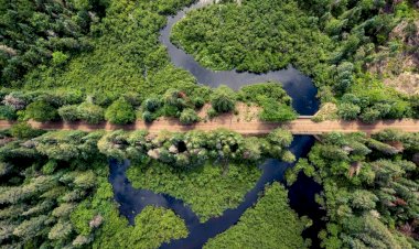 Manaus recebe reunião da Iniciativa sobre Bioeconomia do G20