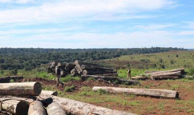 Operação Tamoiotatá 4: Governo do Amazonas aplica R$ 14 milhões em multas por prática de crimes ambientais no sul do Amazonas
