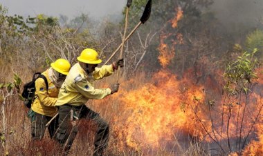 Governo Federal agiliza recontratação de profissionais para combate a incêndios