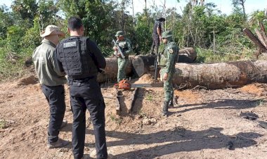 Operação Tamoiotatá aplicou mais de R$ 54 milhões em multa por crimes ambientais no sul do Amazonas