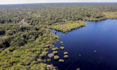 Plano Clima Participativo: Governo percorre o Brasil para discutir emergência climática com a população