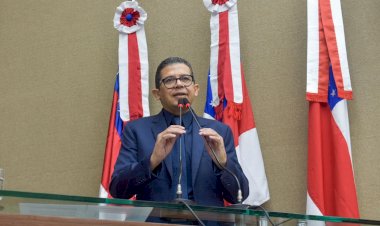 Na Aleam, deputado João Luiz destaca trabalhos desenvolvidos na educação e esporte