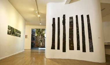 Galeria do Largo inaugura ‘Mostra de Artes Visuais 2024 – Diversas Naturezas’, na sexta-feira