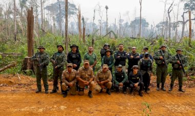 Órgãos ambientais aplicaram cerca de R$ 92 milhões em multas no sul do Amazonas em menos de quatro meses