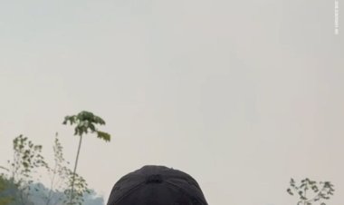 Superintendente do Ibama-AM nega responsabilidade da autarquia no combate a queimadas