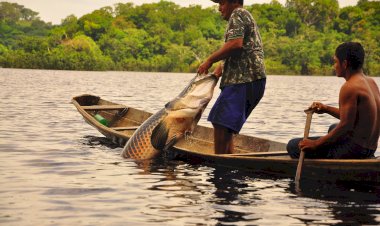 ADS estende prazo para envio de documentos para cadastramento nas subvenções econômicas