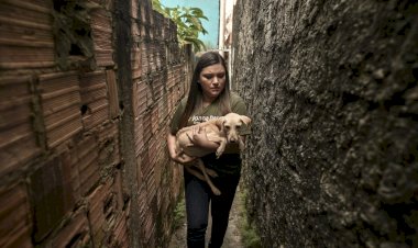 Aprovado PL de Joana Darc que aplica perda da guarda do animal ao tutor por crime de maus-tratos