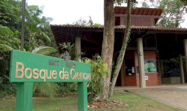 Bosque da Ciência promove programação alusiva ao Dia das Crianças