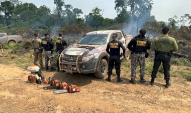 PF e Força Nacional combatem desmatamento ilegal e queimadas no interior do Amazonas