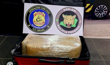 PF apreende 15 quilos de drogas no aeroporto de Manaus