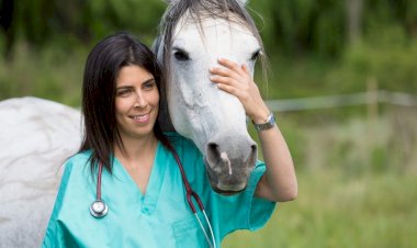 1ª Semana das Ligas Acadêmicas de Medicina Veterinária da UNINORTE