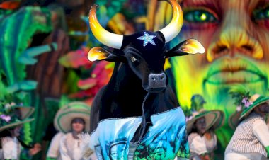 Ministério Público, Boi Caprichoso e MPT firmam acordo para garantir segurança no Festival de Parintins