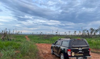PF combate ao desmatamento ilegal, grilagem de terras e lavagem de dinheiro no Amazonas