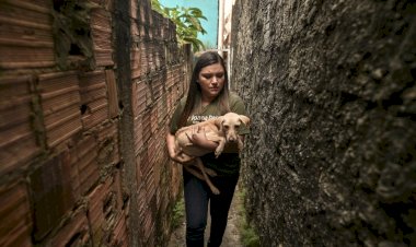 Projeto de Joana Darc quer implementar sistema de multas por maus-tratos aos animais vinculados ao CPF