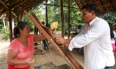 Museu do Seringal retoma atividades e reabre para visitação na quinta-feira