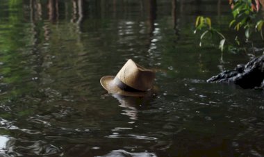 Secretaria de Cultura divulga agenda cultural com dança, ópera e espetáculo internacional