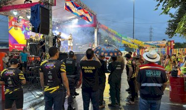 Carnaval na Floresta 2025: Durante o fim de semana, CIF fiscalizou 12 blocos e bandas de carnaval