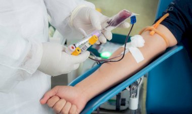 Anemia, sífilis e hepatite estão entre as principais causas de inaptidões de doadores de sangue no Hemoam