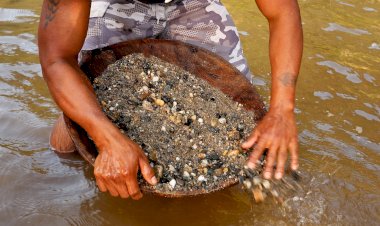 Estudo inédito revela a tragédia humanitária e ambiental da mineração ilegal na Amazônia brasileira