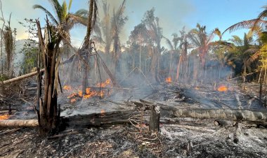 Em ação conjunta, MPAM realiza ronda ambiental e flagra incêndio criminoso em Manicoré