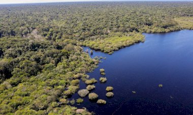 Fundo JPA destina R$ 700 mil a projetos de impacto socioambiental na Amazônia Legal
