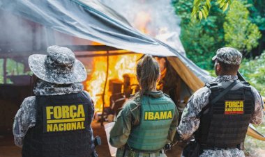 Governo Federal destrói o dobro dos alvos previstos e impõe prejuízo milionário ao garimpo na Terra Indígena Kayapó