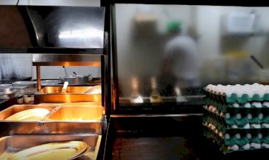 Setor de serviços atingiu recorde de 15,2 milhões de empregos em 2023