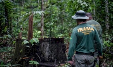 Governo do Brasil autoriza nomeação de 460 novos servidores e servidoras para o Ibama