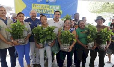 Sepror fomenta cultura do café em Presidente Figueiredo com entrega de 750 mudas para produtores
