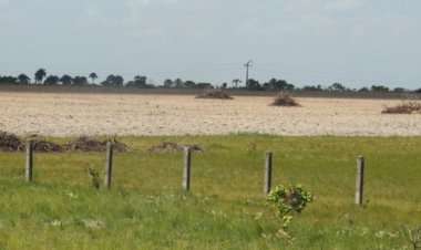 Governo do Brasil lança sistema para monitoramento diário da Amazônia