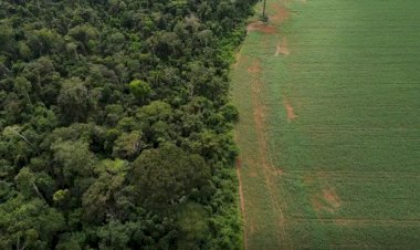 Brasil apresenta soluções de financiamento climático em Nova York