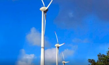 Hidrogênio verde enfrenta desafios para cumprir potencial energético