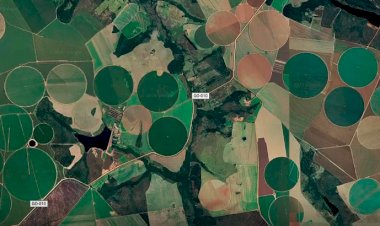 Cerrado brasileiro perdeu 28