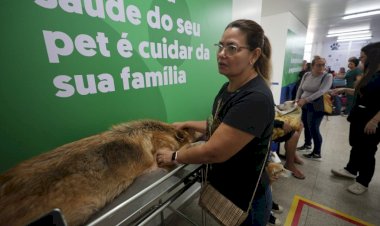 Hospital Público Veterinário do Amazonas garante atendimentos clínicos e de emergência no primeiro dia de funcionamento