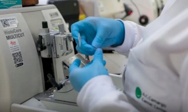 Cura de câncer de próstata pode chegar a até 98%