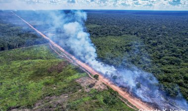 BR-319: pavimentação ameaça meta de desmatamento zero do Brasil às vésperas da COP30