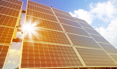 Banco do Nordeste destaca atuação em energia limpa, microfinanças e preservação da Caatinga na COP30