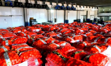 Grupo DB inaugura centro que eleva a qualidade do hortifruti em Manaus