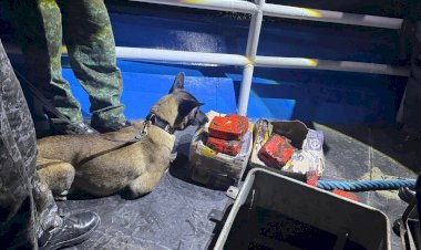 Base Arpão 2: PMAM apreende 21 quilos de pasta-base avaliados em mais de R$1 milhão