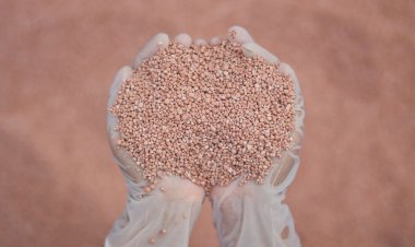 Brazil Potash inicia teste de triagem de minério por raios X com Inteligência Artificial