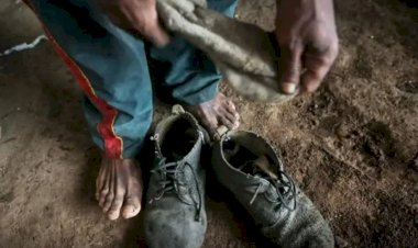 Trabalho escravo: só 4% dos réus recebem penas sobre todos os crimes