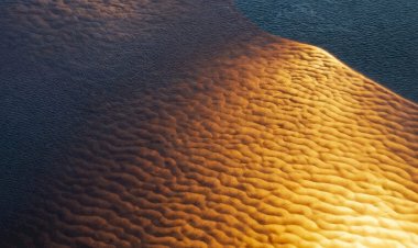 Exposição 'Segredos Amazônicos' revela olhares sensíveis sobre a floresta no Manauara Shopping