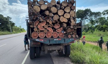 Operação Região Metropolitana: Ipaam apreende caminhão e lenha transportada sem documentação na AM-070