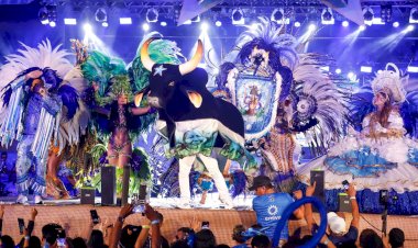 Caprichoso inicia venda de ingressos para lançamento do álbum 2026 “Brinquedo que Canta seu Chão”