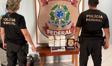 PF faz apreensão de 15 tabletes de drogas no Amazonas