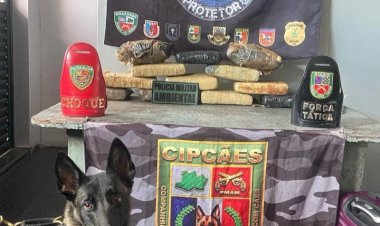Base Arpão 2: Cão policial localiza mais de 13 quilos de maconha escondidos em mala durante abordagem
